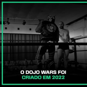 Entenda o que é o Dojo Wars!